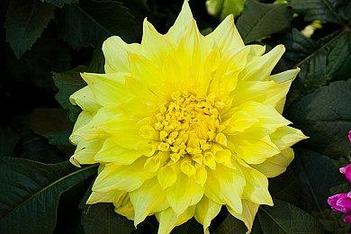 《星际公民》迎来史上最大众筹日：一天筹到350万美元