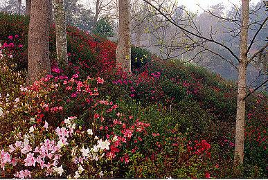 《GTA：三部曲-终极版》正式公开 将于不久后发售